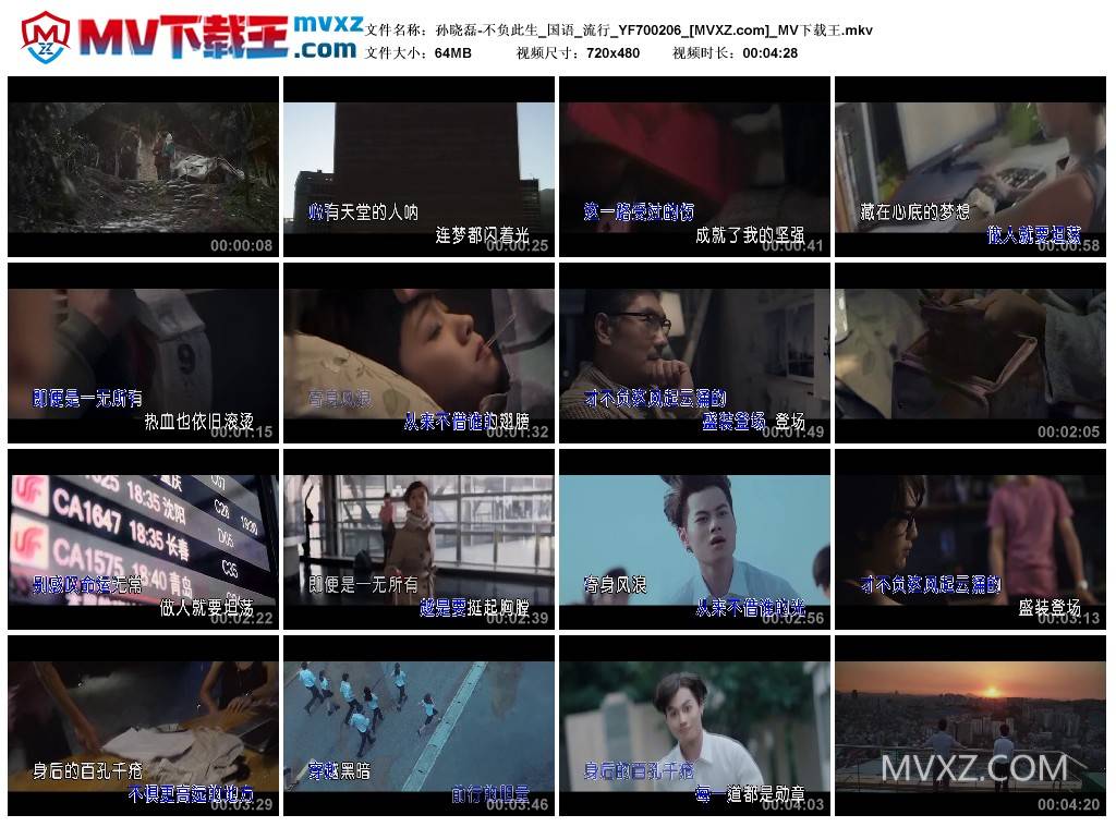 孙晓磊-不负此生_国语_流行_YF700206